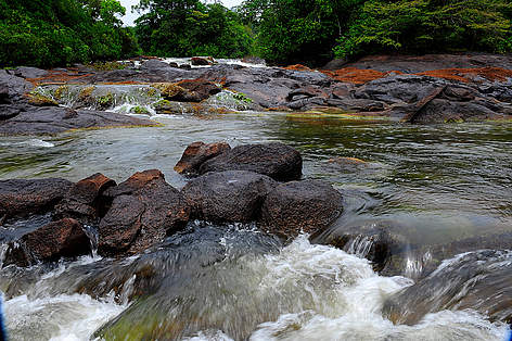 Tumucumaque National Park