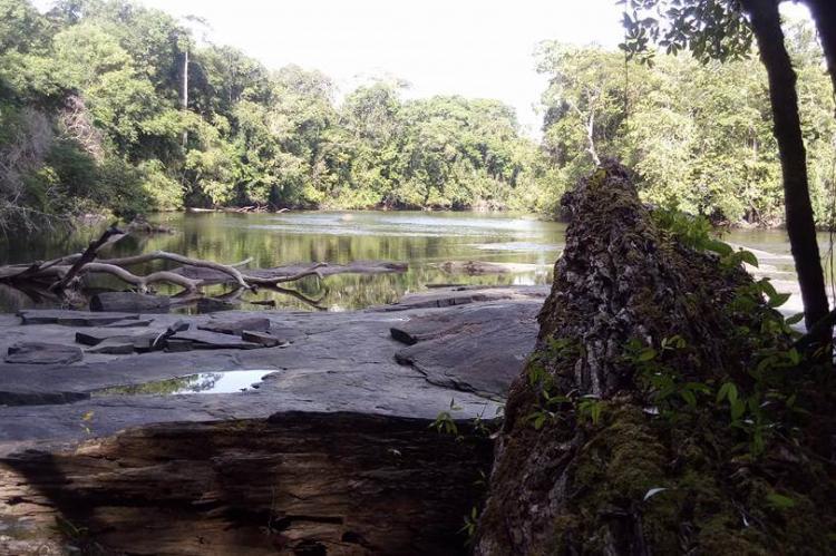 Tumucumaque Mountains National Park – Untamed Wilderness