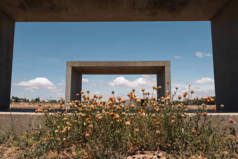 The Chinati Foundation