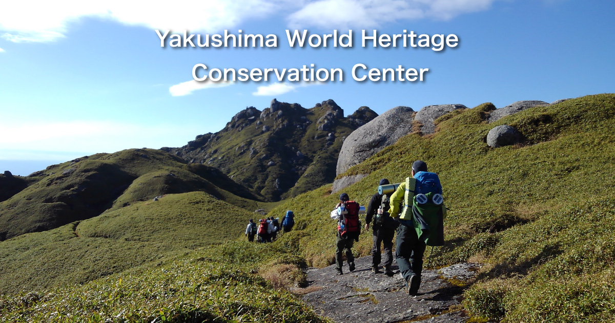Jomon-sugi Cedar Trekking – Yakushima World Heritage Conservation Center