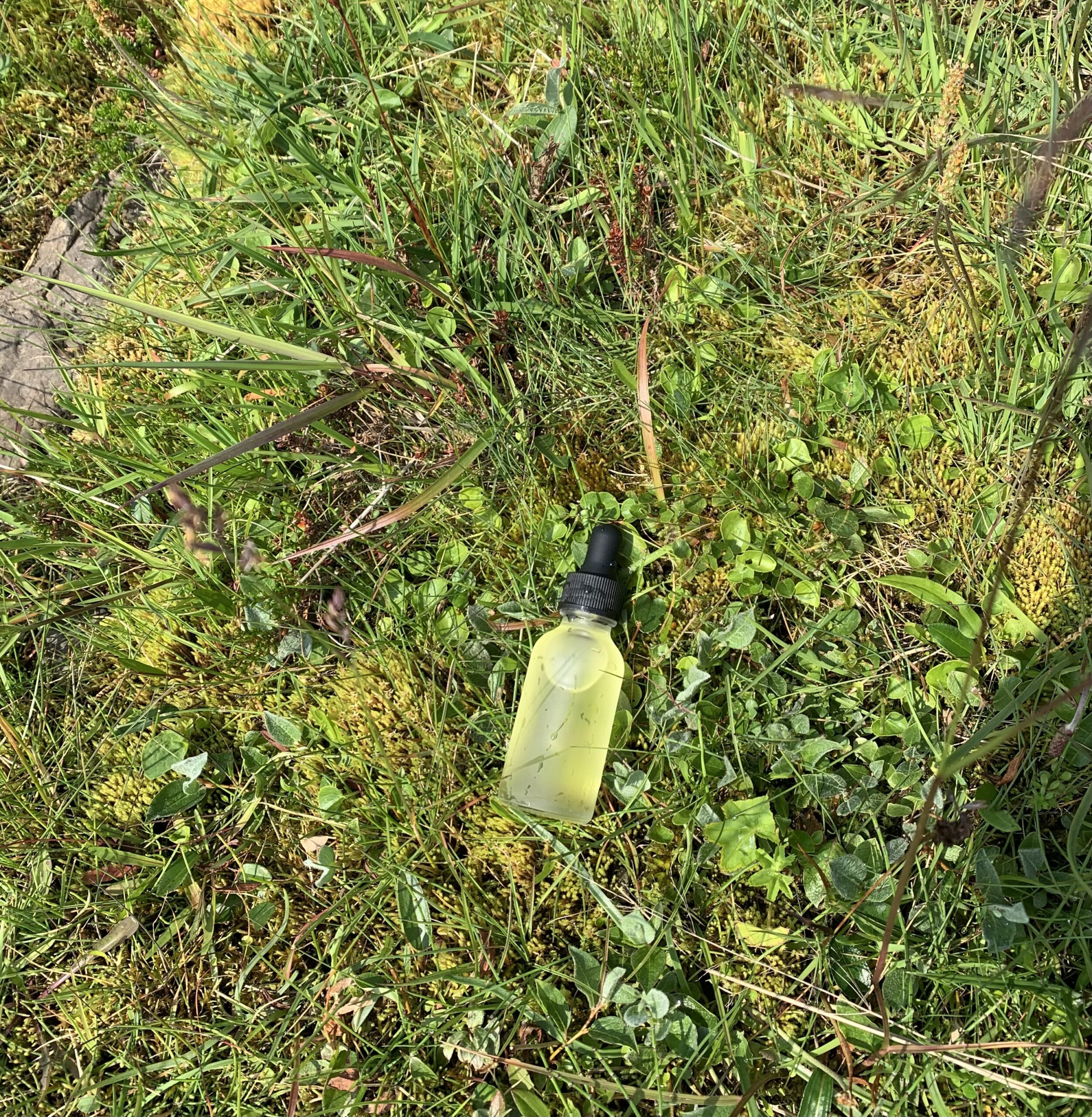 ERLA SÓL — Herbal Immersion